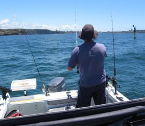 Fishing at Sow and Pigs on Sydney Harbour. This crew was the only one out of eight boats berleying –guess who caught the fish?